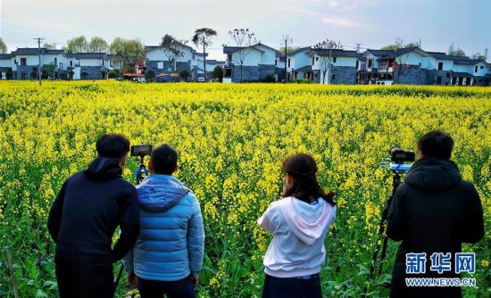 �������������B(t��i)����1���Ĵ����ԡ�������ý ��(sh��)�F(xi��n)�l(xi��ng)�����d