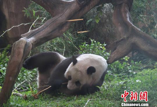 �D�顰�����������似��(c��)�L������������ �z