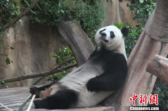 �D�顰���������ژ�����u�ȡ��������� �z