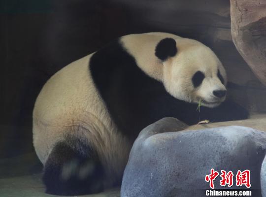 �D�顰���ա��ڴ��˯���������� �z