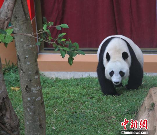 �D�顰������������ɢ������������ �z