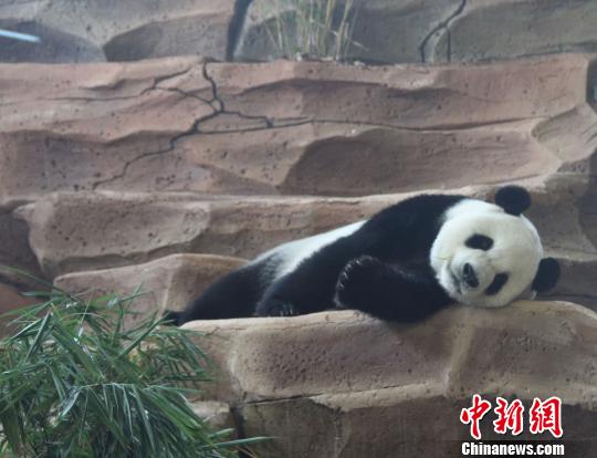 �D�鄂��ġ����ա����u������������ �z