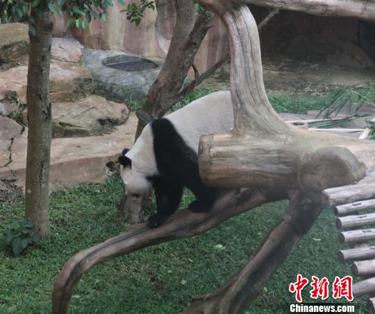 �D�顰�������ߡ���ľ������������ �z