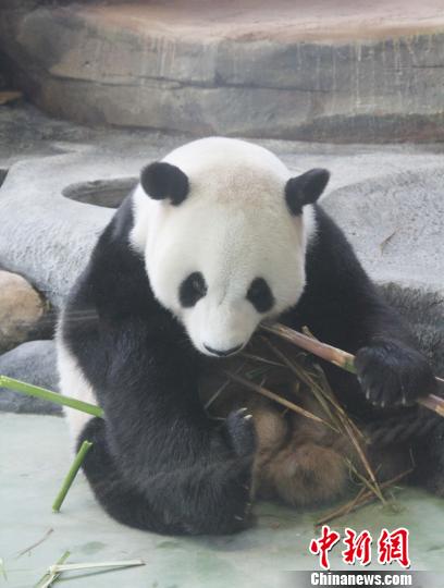 �D�顰���ա��ڳ����ӡ��������� �z