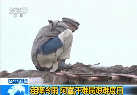 �ͻ�˹̹�B������ �������y���D�y����