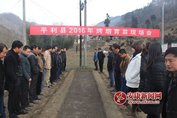 ƽ���_չ2016�꿾������F(xi��n)����Ӗ(x��n)