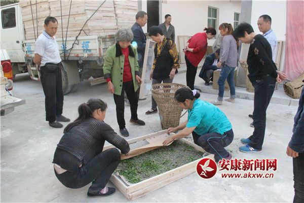 �Q�r(n��ng)��(l��i)�������簴Ʊ�I(l��ng)ȡ�Q�N����(du��)С�Q������ρ�Qٝ���^�� (5).jpg