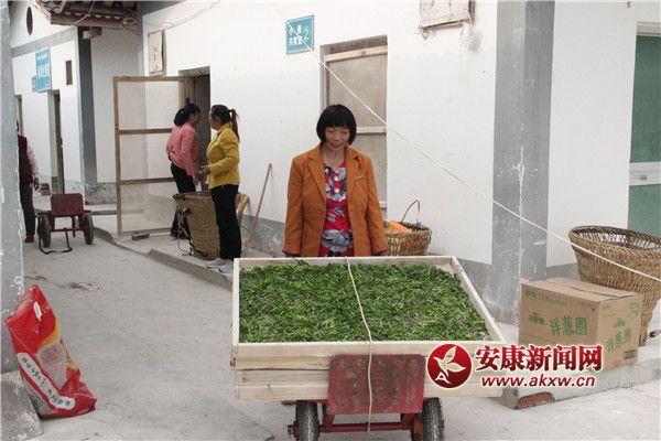 �Q�r(n��ng)��(l��i)�������簴Ʊ�I(l��ng)ȡ�Q�N����(du��)С�Q������ρ�Qٝ���^�� (2).jpg