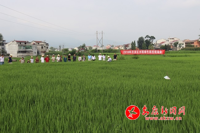 �o�˙C(j��)�@����  �����(n��i)æ�w��1.JPG