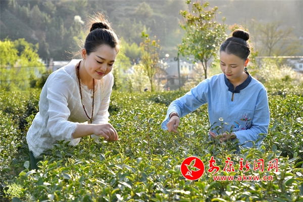 ƽ������