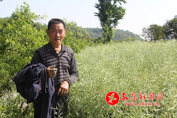 67�q�ď����F�����������e��������Ͳ������������f��ȥ�����µ�600��߀�������������u�������Լ��̓��������ԣ�����̤��