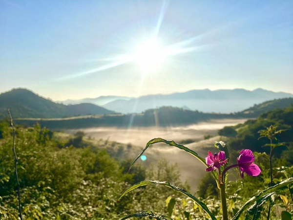 ���(y��ng)�ݵ��L(f��ng)����