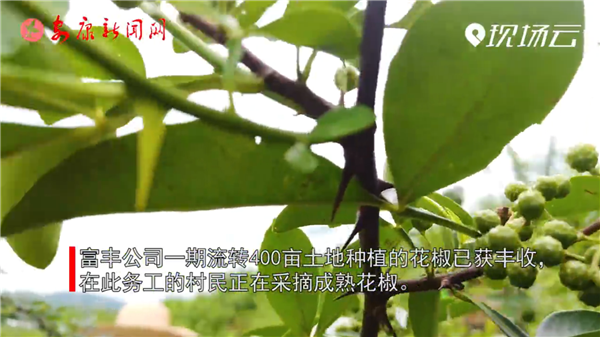 ҕhI^(q)PR(zhn)ЮaI(y)Óؚ|Ч