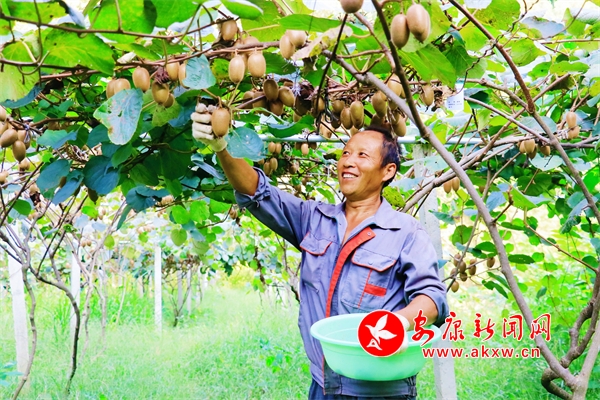 𡰫Ju^(zhn)Jϲ@S