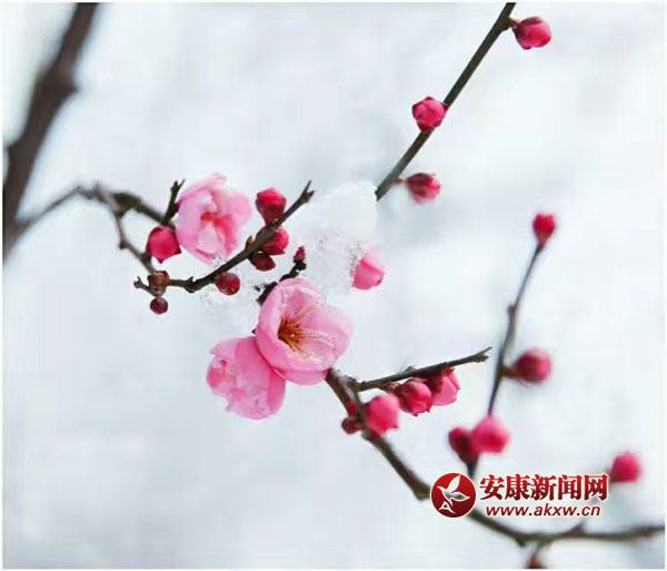 L(zhng)Lwl(shu)һփɰ