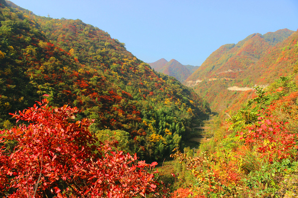 ����׌üt�~��(ji��)������