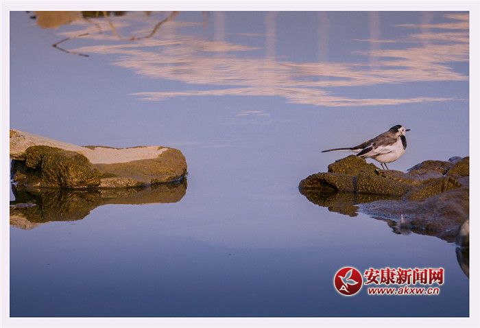 ��ˮ��һɫ���zӰ��Ƥ�¾S���f��������Ƭ��2017��12��3�������ʡ�����Нh�����Ĕz����չ�F�����õ����B(t��i)�h(hu��n)����ϵ�Ԓ��