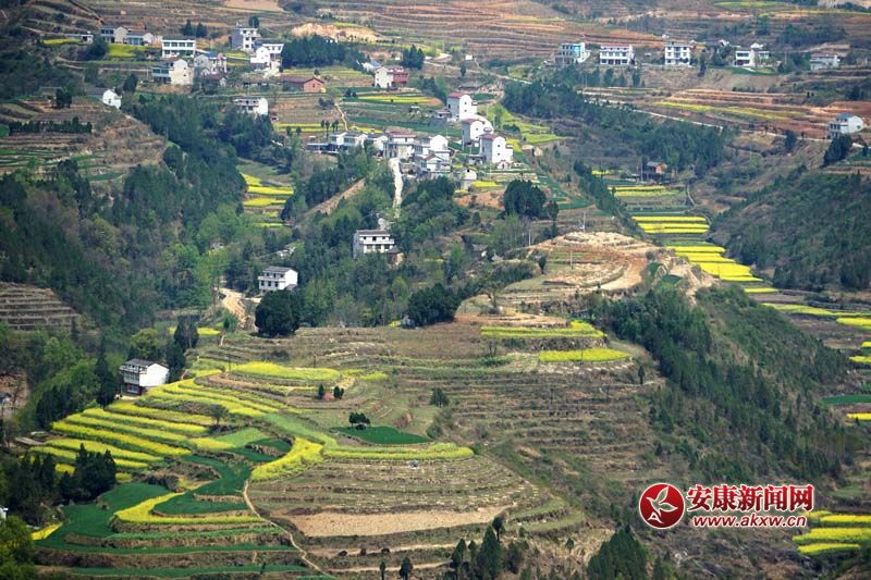 �D2.�����������̎�����(n��i)ꑸ��أ����߁���ɽ����ɽ����ɽ��������ص�6�N���ε�ò���c�����˷�����Ϣ���@����˂����ò����